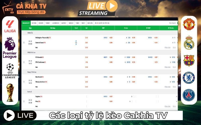 Giải mã các loại tỷ lệ kèo "quốc dân" tại Cà Khịa TV