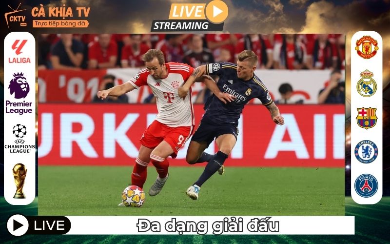 Phủ sóng mọi giải đấu: Từ cỏ nội đến đỉnh cao châu lục